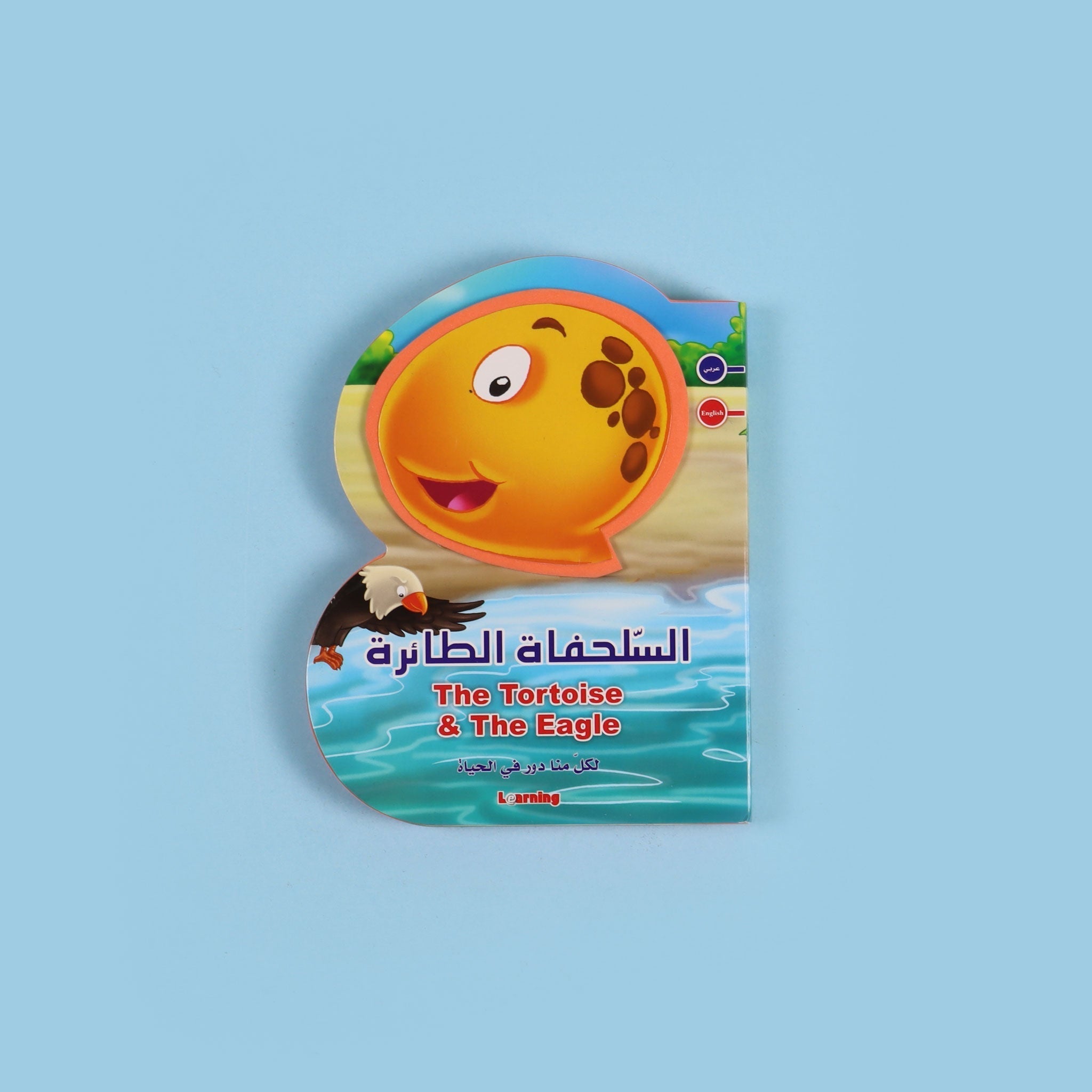 B Book: السلحفاة الطائرة