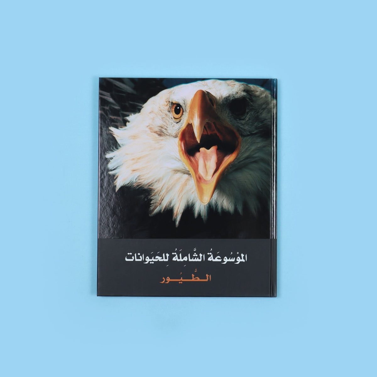 كتاب من الموسوعة الشاملة للحيوانات من DK لعمر 15 سنة فما فوق، مرجع مصوّر عن أكثر من 2000 نوع من الحيوانات والحياة البرية
