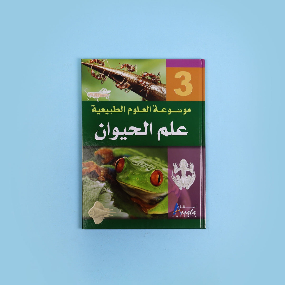 كتاب ٣ من موسوعة العلوم الطبيعية من DK لعمر 15 سنة فما فوق، مرجع علمي للطلاب يضم شروحات ورسومات ومخططات توضيحية