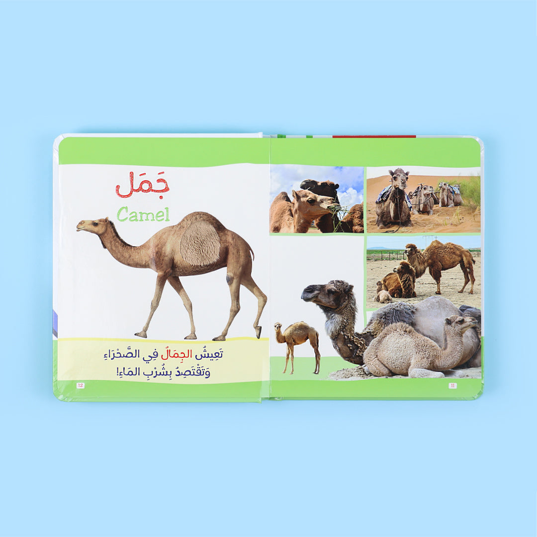 غلاف كتاب مونتيسوري الأول لتعليم أسماء الحيوانات باللمس