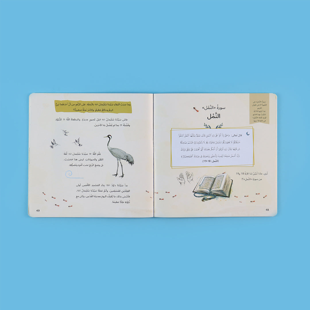 صفحة ملوّنة توضح حيوانات ذُكرت في القرآن للأطفال
